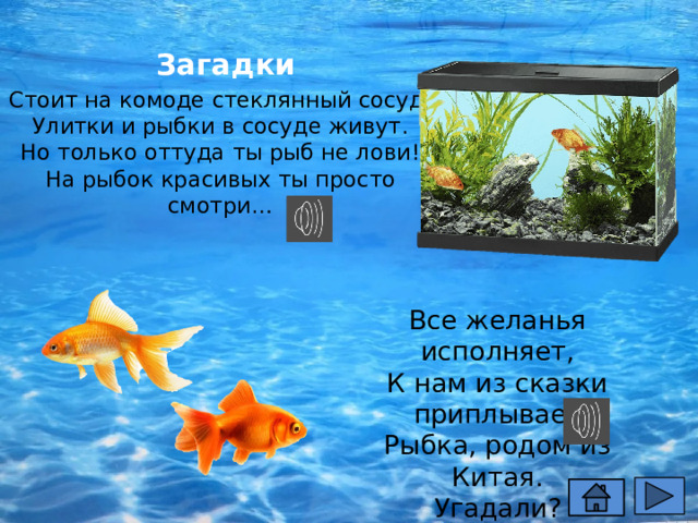 Загадки Стоит на комоде стеклянный сосуд.  Улитки и рыбки в сосуде живут.  Но только оттуда ты рыб не лови!  На рыбок красивых ты просто смотри… Все желанья исполняет,  К нам из сказки приплывает  Рыбка, родом из Китая.  Угадали? 
