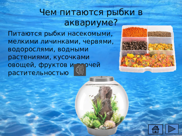 Чем питаются рыбки в аквариуме? Питаются рыбки насекомыми, мелкими личинками, червями, водорослями, водными растениями, кусочками овощей, фруктов и прочей растительностью 