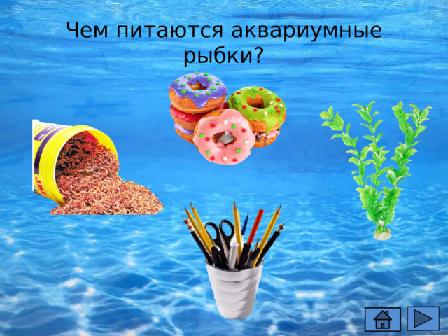 Чем питаются аквариумные рыбки? 