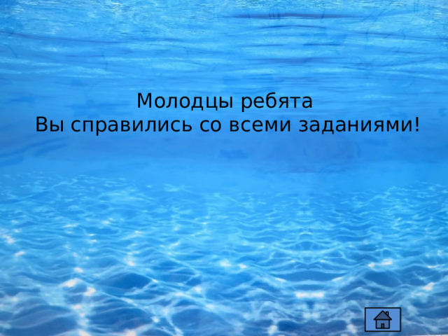 Молодцы ребята  Вы справились со всеми заданиями! 