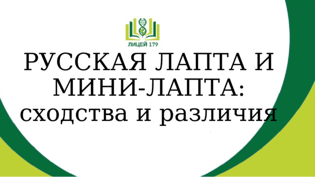 РУССКАЯ ЛАПТА И  МИНИ-ЛАПТА:  сходства и различия 