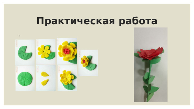 Практическая работа 