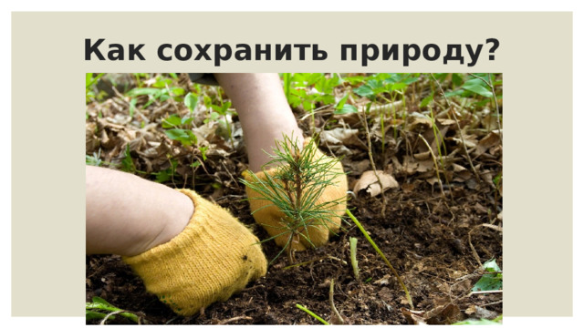 Как сохранить природу? 