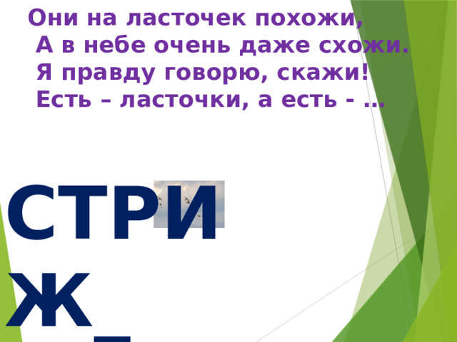 Они на ласточек похожи,  А в небе очень даже схожи.  Я правду говорю, скажи!  Есть – ласточки, а есть - … И СТРИЖ_ 