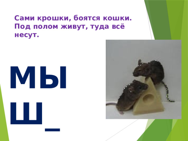 Сами крошки, боятся кошки.  Под полом живут, туда всё несут. и МЫШ_ 