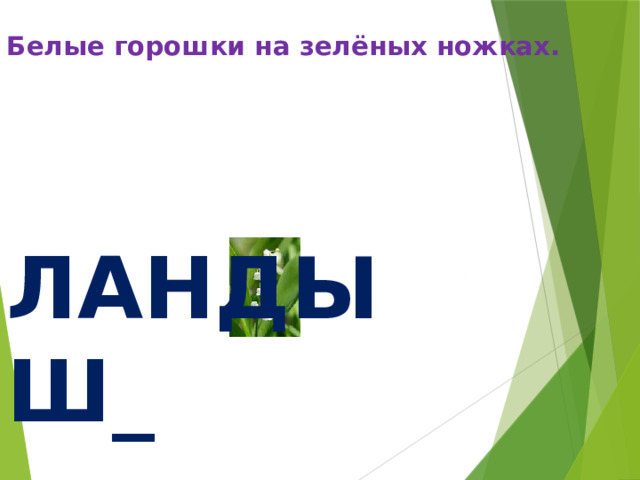  Белые горошки на зелёных ножках.   И ЛАНДЫШ_ 