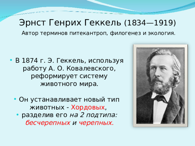 Эрнст Генрих Геккель (1834—1919)   Автор терминов питекантроп, филогенез и экология. В 1874 г. Э. Геккель, используя работу А. О. Ковалевского, реформирует систему животного мира. Он устанавливает новый тип животных - Хордовых , разделив его на 2 подтипа: бесчерепных и черепных.  
