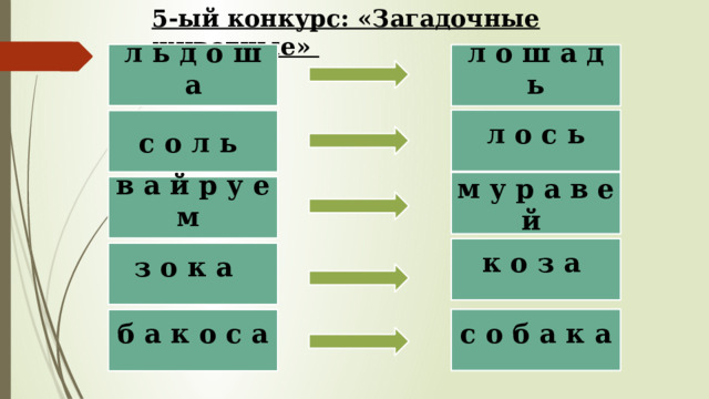 5-ый конкурс: «Загадочные животные» л ь д о ш а л о ш а д ь л о с ь с о л ь м у р а в е й в а й р у е м        к о з а з о к а   с о б а к а б а к о с а 