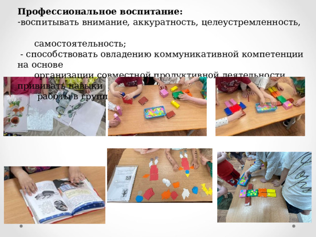 Профессиональное воспитание: воспитывать внимание, аккуратность, целеустремленность,  самостоятельность;   - способствовать овладению коммуникативной компетенции на основе  организации совместной продуктивной деятельности, прививать навыки  работы в группе и работы в парах.  