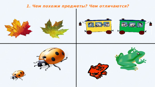 1. Чем похожи предметы? Чем отличаются? 