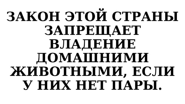 ЗАКОН ЭТОЙ СТРАНЫ ЗАПРЕЩАЕТ ВЛАДЕНИЕ ДОМАШНИМИ ЖИВОТНЫМИ, ЕСЛИ У НИХ НЕТ ПАРЫ. 