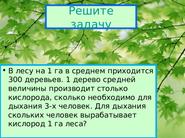 Решите задачу В лесу на 1 га в среднем приходится 300 деревьев. 1 дерево средней величины производит столько кислорода, сколько необходимо для дыхания 3-х человек. Для дыхания скольких человек вырабатывает кислород 1 га леса? 