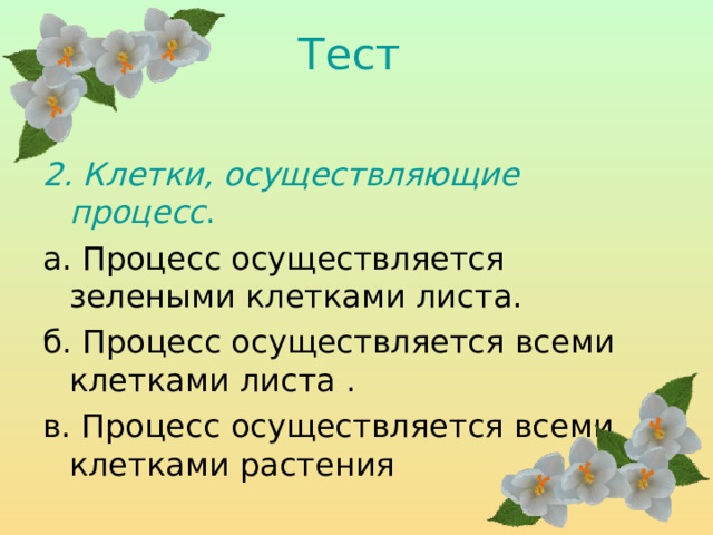 Тест  2. Клетки, осуществляющие процесс .  а. Процесс осуществляется зелеными клетками листа. б. Процесс осуществляется всеми клетками листа . в. Процесс осуществляется всеми клетками растения 