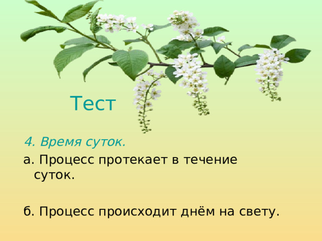 Тест  4. Время суток.  а. Процесс протекает в течение суток. б. Процесс происходит днём на свету. 