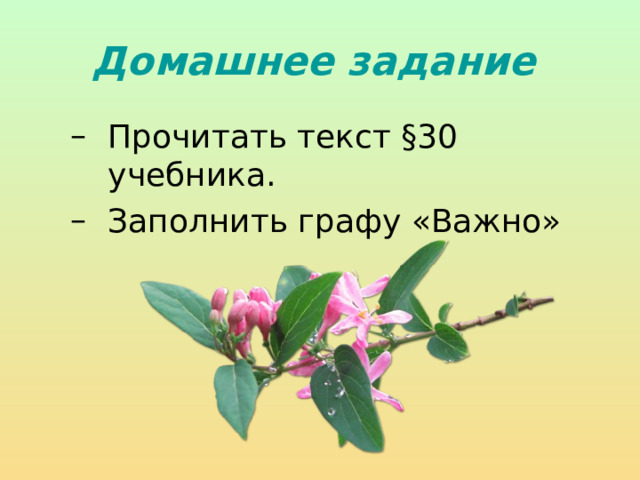 Домашнее задание  Прочитать текст §30 учебника. Заполнить графу «Важно» Прочитать текст §30 учебника. Заполнить графу «Важно» 
