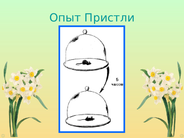 Опыт Пристли 