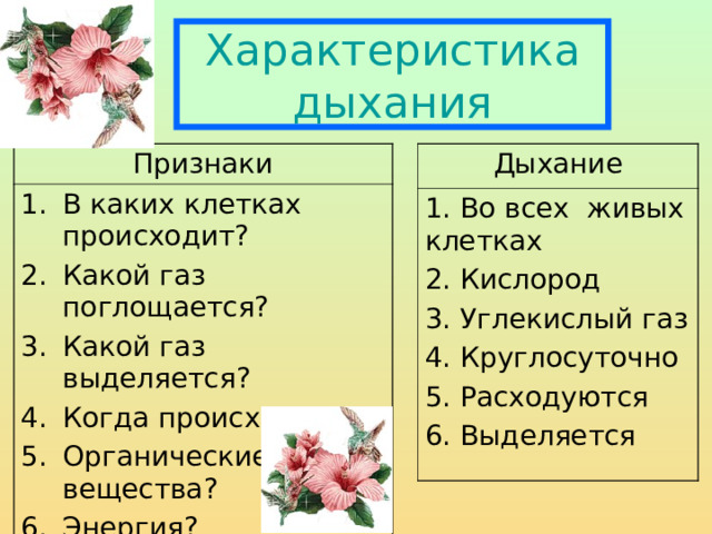 Характеристика дыхания Признаки Дыхание В каких клетках происходит? Какой газ поглощается? Какой газ выделяется? Когда происходит? Органические вещества? Энергия? 1. Во всех живых клетках 2. Кислород 3. Углекислый газ 4. Круглосуточно 5. Расходуются 6. Выделяется 
