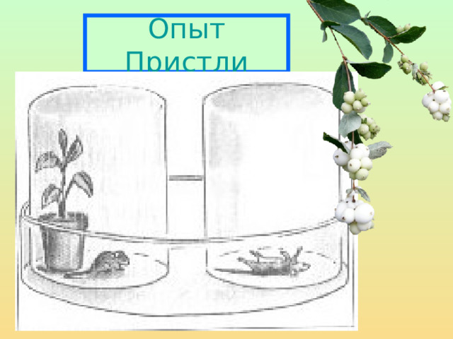 Опыт Пристли 