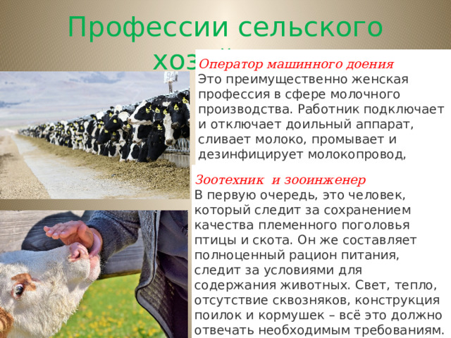 Зоотехник   и зооинженер В первую очередь, это человек, который следит за сохранением качества племенного поголовья птицы и скота. Он же составляет полноценный рацион питания, следит за условиями для содержания животных. Свет, тепло, отсутствие сквозняков, конструкция поилок и кормушек – всё это должно отвечать необходимым требованиям. Профессии сельского хозяйства Оператор машинного доения Это преимущественно женская профессия в сфере молочного производства. Работник подключает и отключает доильный аппарат, сливает молоко, промывает и дезинфицирует молокопровод, измеряет надоенное молоко, проводит расчеты по измерительной таблице. 