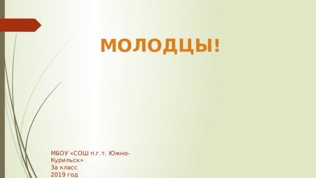 МОЛОДЦЫ! МБОУ «СОШ п.г.т. Южно-Курильск» 3а класс 2019 год 
