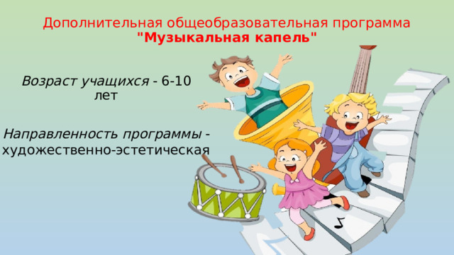 Дополнительная общеобразовательная программа 