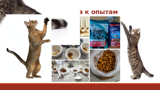  Подготовка к опытам 