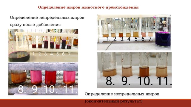 Определение жиров животного происхождения Определение непредельных жиров сразу после добавления перманганата калия Определение непредельных жиров (окончательный результат) 