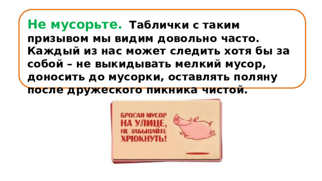 Не мусорьте.    Таблички с таким призывом мы видим довольно часто. Каждый из нас может следить хотя бы за собой – не выкидывать мелкий мусор, доносить до мусорки, оставлять поляну после дружеского пикника чистой. 