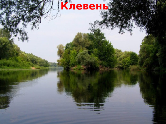 Клевень  