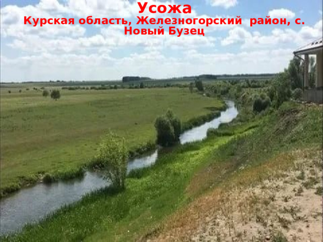 Усожа Курская область, Железногорский район, с. Новый Бузец  