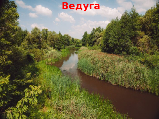 Ведуга  