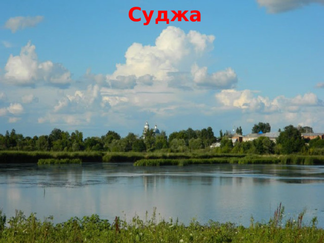 Суджа 