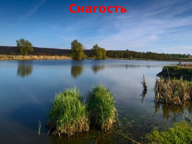 Снагость 