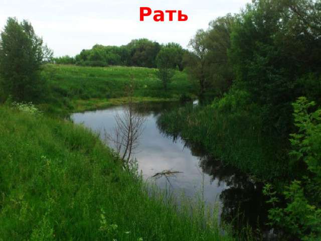 Рать 