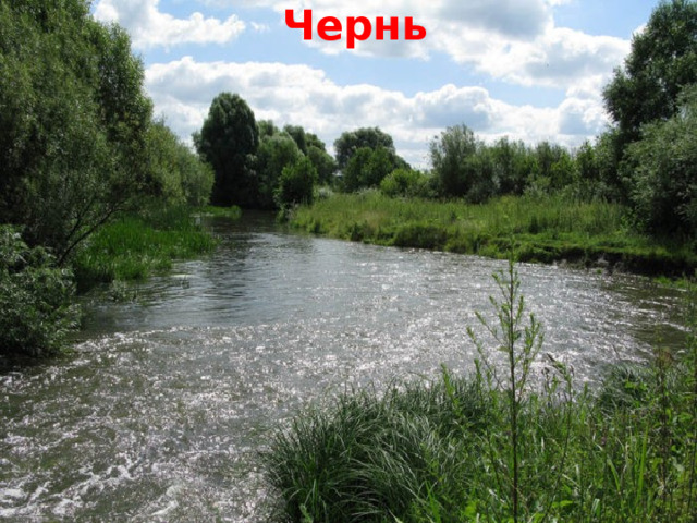 Чернь  