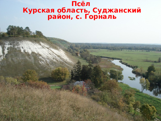 Псёл Курская область, Суджанский район, с. Горналь  