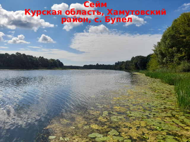 Сейм Курская область, Хамутовский район, с. Бупел  