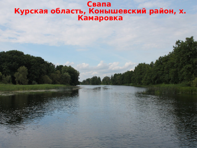 Свапа Курская область, Конышевский район, х. Камаровка  