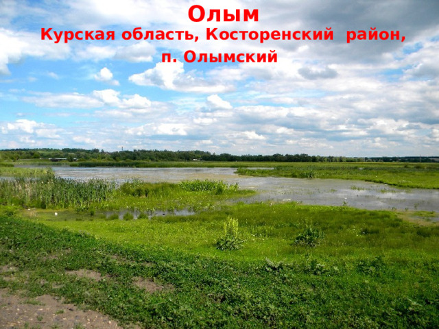 Олым Курская область, Косторенский район, п. Олымский  