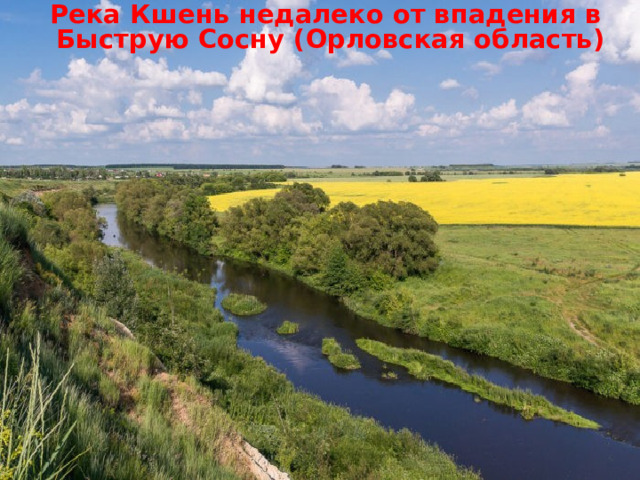 Река Кшень недалеко от впадения в  Быструю Сосну (Орловская область)   