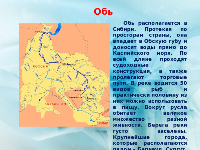 Обь  Обь располагается в Сибири. Протекая по просторам страны, она впадает в Обскую губу и доносит воды прямо до Каспийского моря. По всей длине проходят судоходные конструкции, а также пролегают торговые пути. В реке водится 50 видов рыб и практически половину из них можно использовать в пищу. Вокруг русла обитает великое множество разной живности. Берега реки густо заселены. Крупнейшие города, которые располагаются рядом – Барнаул, Сургут, Новосибирск. Длина реки составляет 3650 км.  