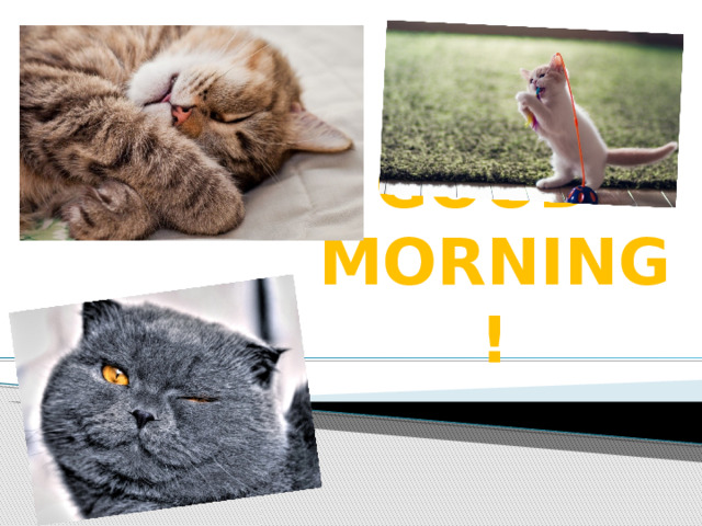 GOOD  MORNING!   
