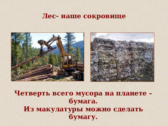 Лес- наше сокровище Четверть всего мусора на планете – бумага.  Из макулатуры можно сделать бумагу. 