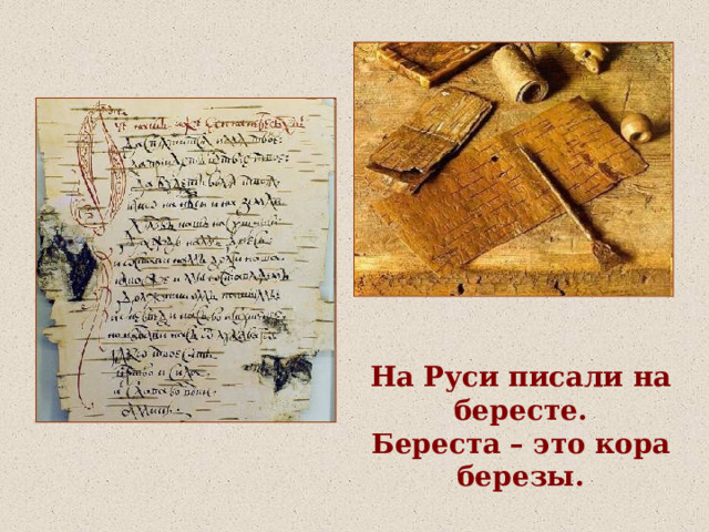 На Руси писали на бересте. Береста – это кора березы. 