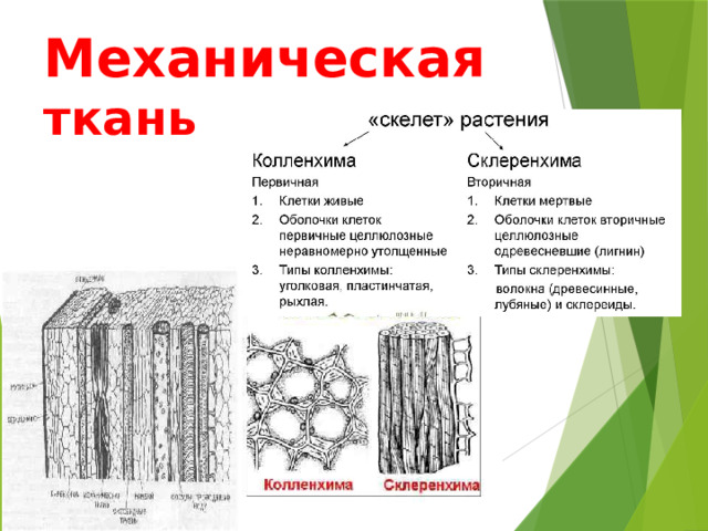 Механическая ткань 
