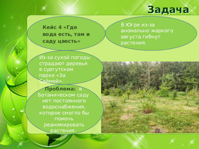 Задача Кейс 4 «Где вода есть, там и саду цвесть» В Югре из-за аномально жаркого августа гибнут растения. Из-за сухой погоды страдают деревья в сургутском парке «За Саймой». Проблема: в Ботаническом саду нет постоянного водоснабжения, которое смогло бы помочь реанимировать растения. 