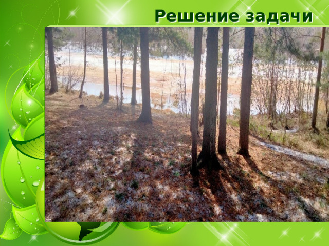 Решение задачи 