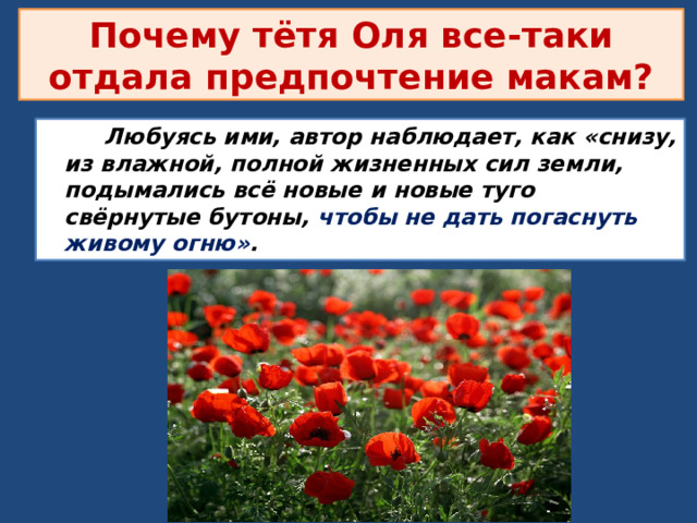 Почему тётя Оля все-таки отдала предпочтение макам?  Любуясь ими, автор наблюдает, как «снизу, из влажной, полной жизненных сил земли, подымались всё новые и новые туго свёрнутые бутоны, чтобы не дать погаснуть живому огню» . 