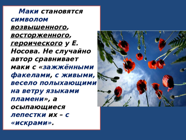  Маки становятся символом возвышенного , восторженного , героического у Е. Носова. Не случайно автор сравнивает маки с « зажжёнными факелами , с живыми, весело полыхающими на ветру языками пламени », а осыпающиеся лепестки их – с «искрами» . 