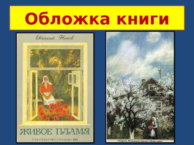 Обложка книги 